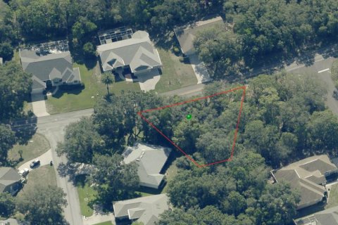 Land in Homosassa, Florida № 2158792 - photo 15