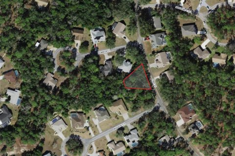 Land in Homosassa, Florida № 2158792 - photo 2