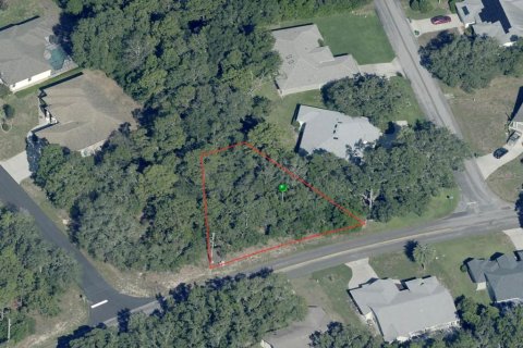 Land in Homosassa, Florida № 2158792 - photo 13