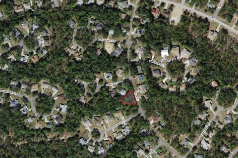 Land in Homosassa, Florida № 2158792 - photo 3