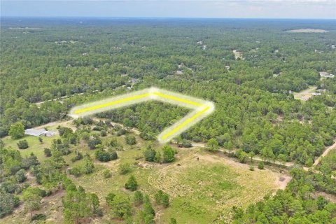 Land in Dunnellon, Florida № 1831568 - photo 8