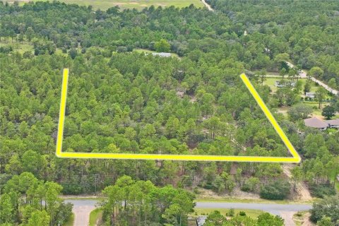 Land in Dunnellon, Florida № 1831568 - photo 19