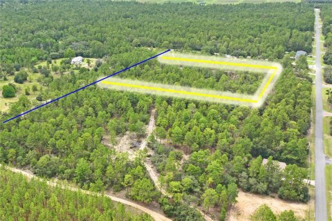 Land in Dunnellon, Florida № 1831568 - photo 12