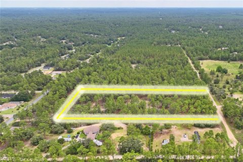 Land in Dunnellon, Florida № 1831568 - photo 4
