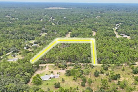 Land in Dunnellon, Florida № 1831568 - photo 1