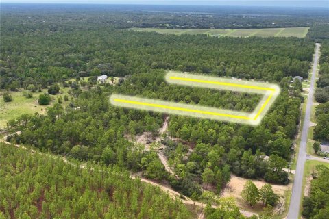 Land in Dunnellon, Florida № 1831568 - photo 13