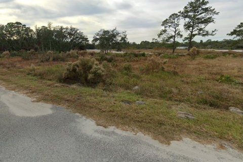Terreno en Ocklawaha, Florida № 2213666