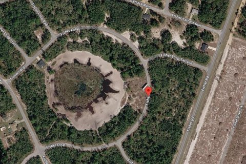 Terreno en venta en Ocklawaha, Florida № 2213666 - foto 2