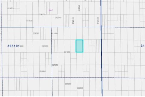Land in Lake Wales, Florida № 2158874 - photo 2