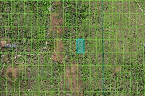Land in Lake Wales, Florida № 2158874 - photo 3