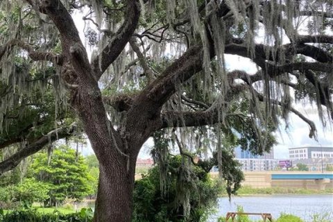 Condo in Orlando, Florida, 1 bedroom  № 1869325 - photo 16