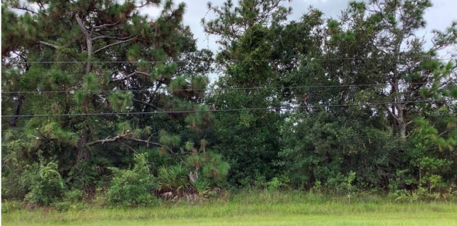 Land in Orlando, Florida № 1834699