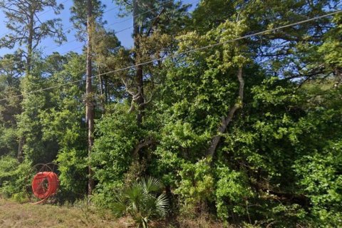 Land in Ocklawaha, Florida № 2159588 - photo 3
