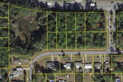 Land in Ocklawaha, Florida № 2159588 - photo 8