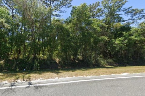 Land in Ocklawaha, Florida № 2159588