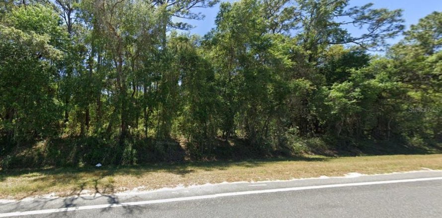 Land in Ocklawaha, Florida № 2159588