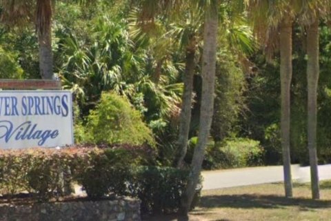 Land in Ocklawaha, Florida № 2159588 - photo 2