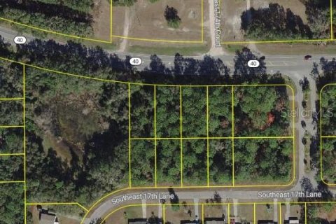 Land in Ocklawaha, Florida № 2159588 - photo 9