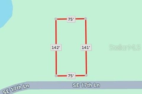 Land in Ocklawaha, Florida № 2159588 - photo 4