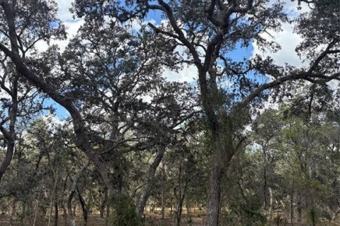 Land in Dunnellon, Florida № 2158995