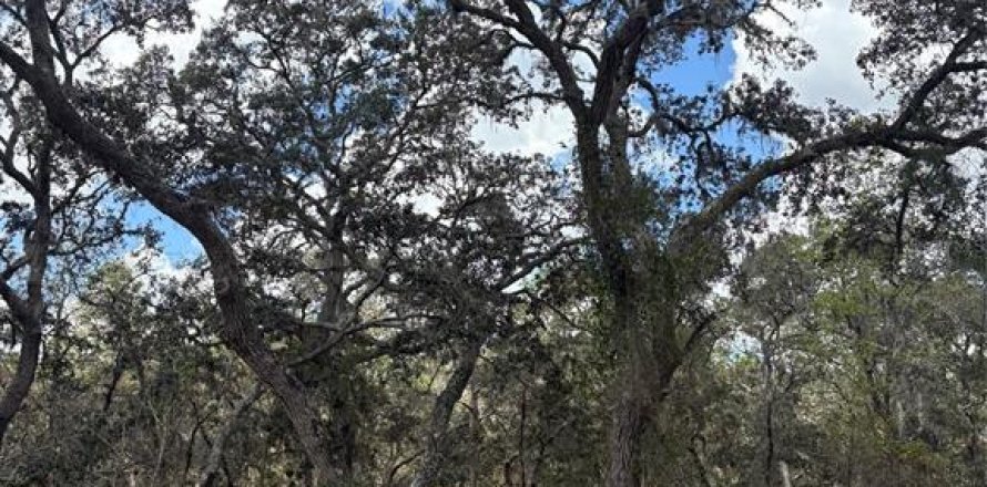 Land in Dunnellon, Florida № 2158995