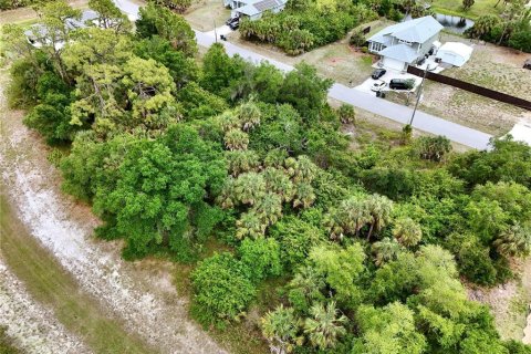 Land in North Port, Florida № 2221214 - photo 30