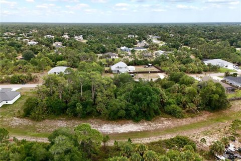 Land in North Port, Florida № 2221214 - photo 10