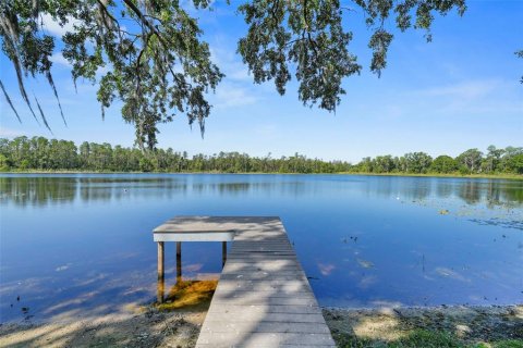 Villa ou maison à vendre à Lutz, Floride: 3 chambres, 263.75 m2 № 1650378 - photo 9