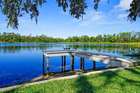 Villa ou maison à vendre à Lutz, Floride: 3 chambres, 263.75 m2 № 1650378 - photo 7