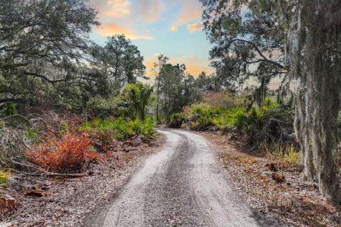 Land in Gibsonton, Florida № 2101301 - photo 8