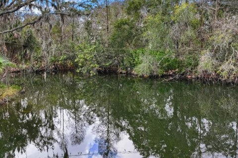 Land in Gibsonton, Florida № 2101301 - photo 12