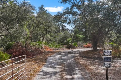 Land in Gibsonton, Florida № 2101301 - photo 7