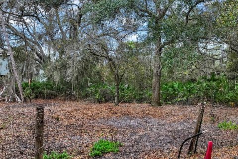 Land in Gibsonton, Florida № 2101301 - photo 15