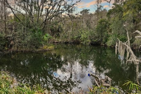 Land in Gibsonton, Florida № 2101301 - photo 11