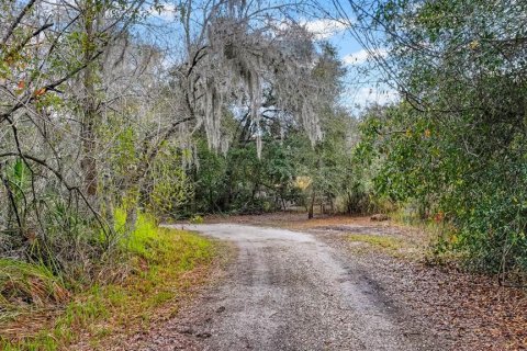 Land in Gibsonton, Florida № 2101301 - photo 14