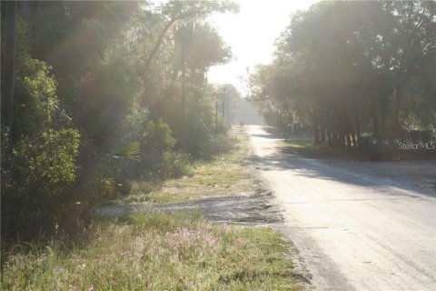Land in Ocala, Florida № 600226 - photo 3