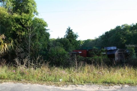 Land in Ocala, Florida № 600226 - photo 1