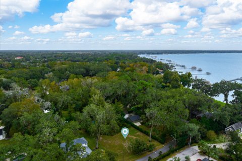 Land in Jacksonville, Florida № 857524 - photo 1