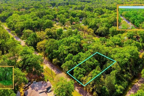 Land in Ocala, Florida № 2159609 - photo 4