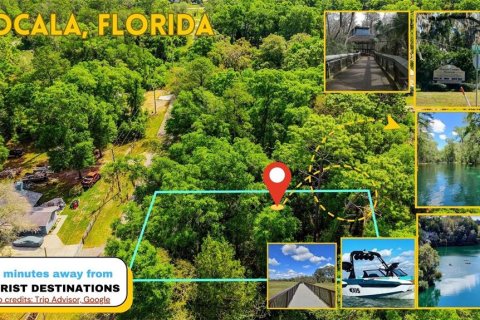 Land in Ocala, Florida № 2159609 - photo 9