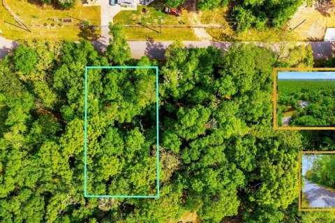 Land in Ocala, Florida № 2159609 - photo 6