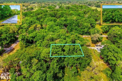 Land in Ocala, Florida № 2159609 - photo 5