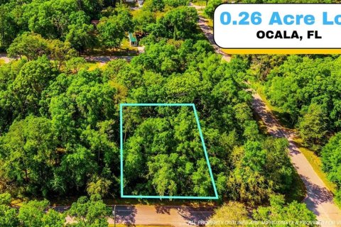 Land in Ocala, Florida № 2159609