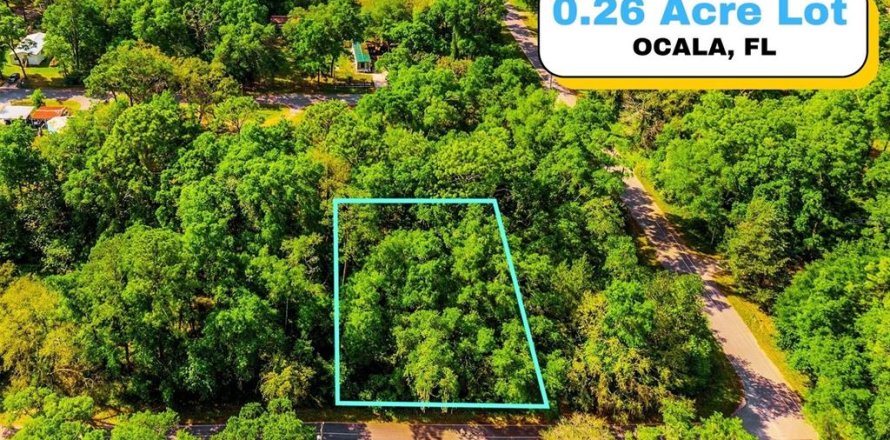 Land in Ocala, Florida № 2159609