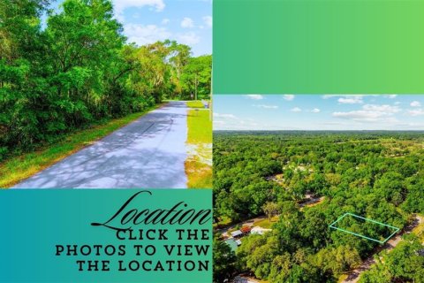 Land in Ocala, Florida № 2159609 - photo 3