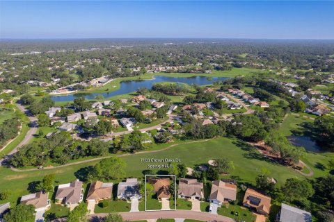 Villa ou maison à vendre à Spring Hill, Floride: 3 chambres, 198.44 m2 № 2416631 - photo 2