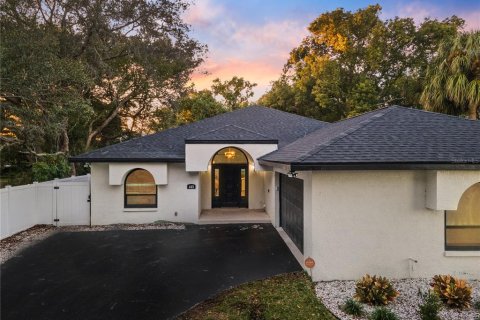 Villa ou maison à vendre à Palm Harbor, Floride: 4 chambres, 222.04 m2 № 1903771 - photo 1