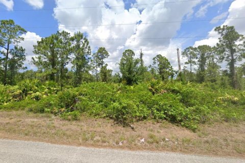 Land in Lehigh Acres, Florida № 2228756 - photo 3