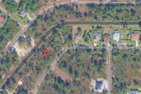 Land in Lehigh Acres, Florida № 2228756 - photo 2
