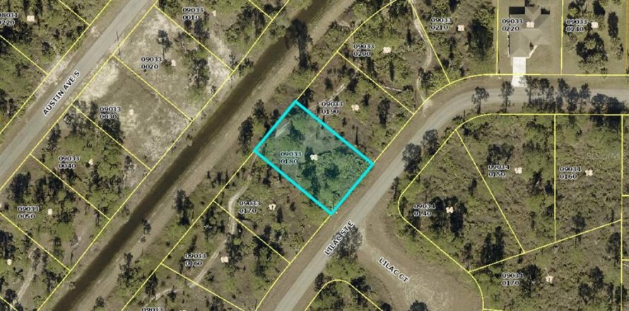 Land in Lehigh Acres, Florida № 2228756